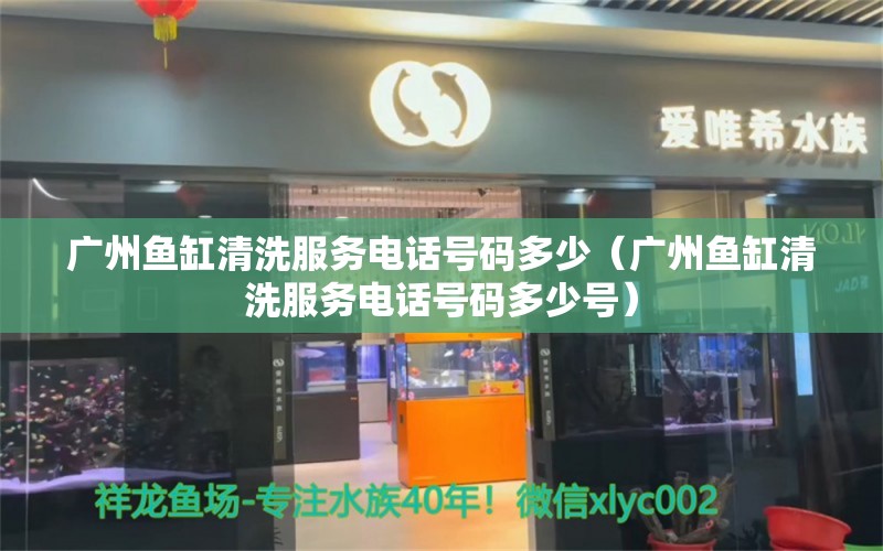 广州鱼缸清洗服务电话号码多少（广州鱼缸清洗服务电话号码多少号）