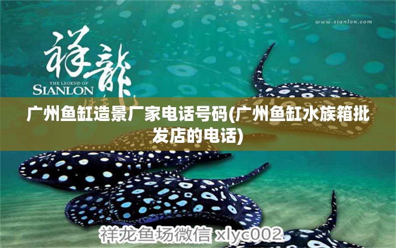 广州鱼缸造景厂家电话号码(广州鱼缸水族箱批发店的电话) 鱼缸/水族箱