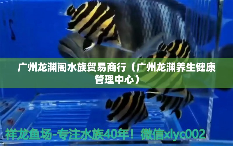 广州龙渊阁水族贸易商行（广州龙渊养生健康管理中心）