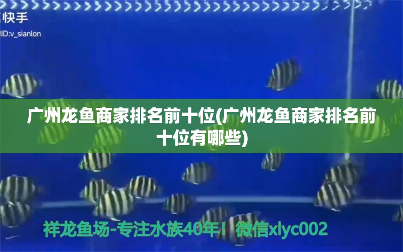 广州龙鱼商家排名前十位(广州龙鱼商家排名前十位有哪些) 祥龙龙鱼专用水族灯 第1张