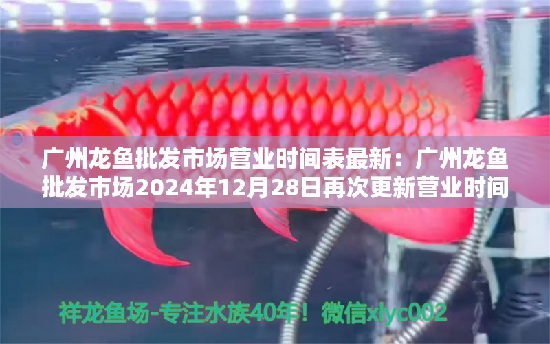 广州龙鱼批发市场营业时间表最新：广州龙鱼批发市场2024年12月28日再次更新营业时间表 龙鱼百科 第1张