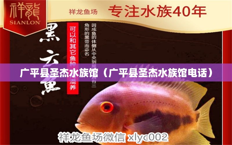 广平县圣杰水族馆（广平县圣杰水族馆电话） 全国水族馆企业名录