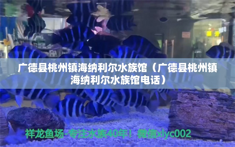 广德县桃州镇海纳利尔水族馆（广德县桃州镇海纳利尔水族馆电话） 全国水族馆企业名录