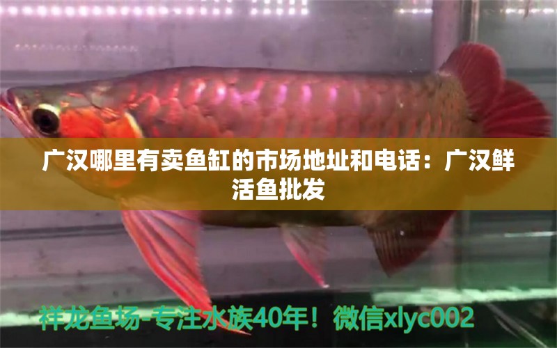 广汉哪里有卖鱼缸的市场地址和电话：广汉鲜活鱼批发 广州水族批发市场