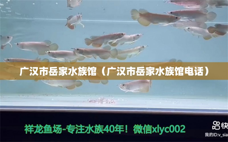 广汉市岳家水族馆（广汉市岳家水族馆电话）