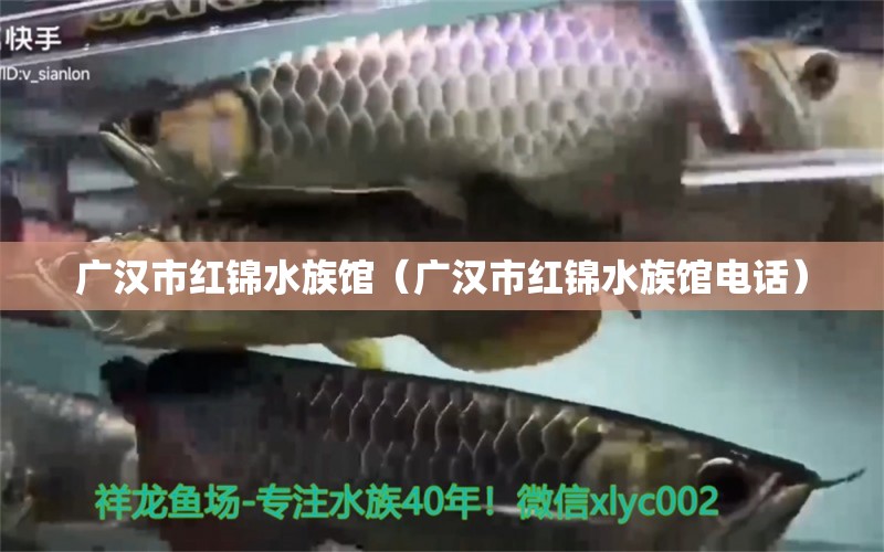 广汉市红锦水族馆（广汉市红锦水族馆电话）