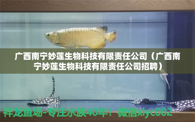 广西南宁妙莲生物科技有限责任公司（广西南宁妙莲生物科技有限责任公司招聘）