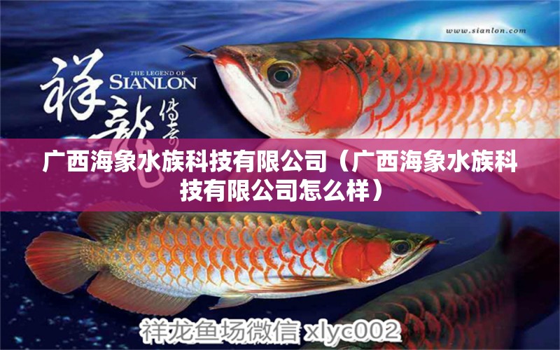 广西海象水族科技有限公司（广西海象水族科技有限公司怎么样） 全国水族馆企业名录