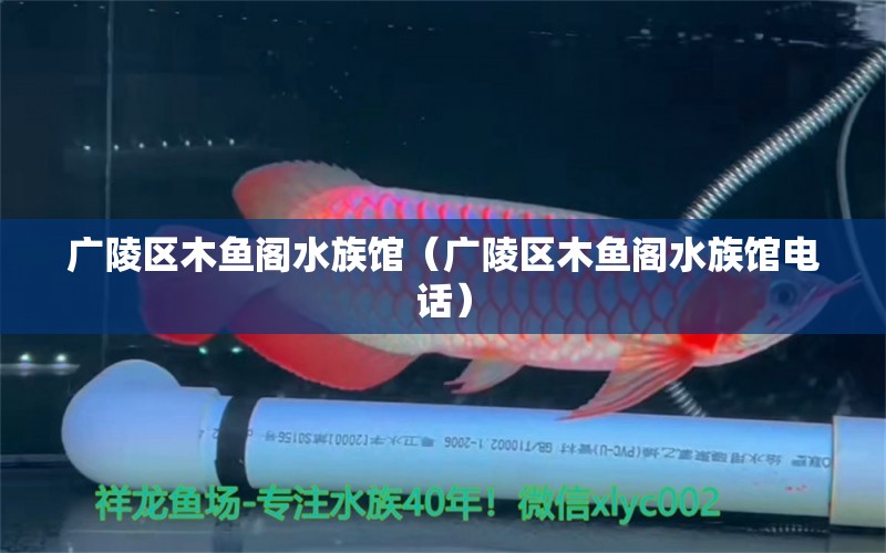 广陵区木鱼阁水族馆（广陵区木鱼阁水族馆电话） 全国水族馆企业名录