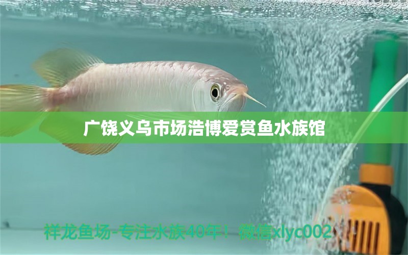 广饶义乌市场浩博爱赏鱼水族馆