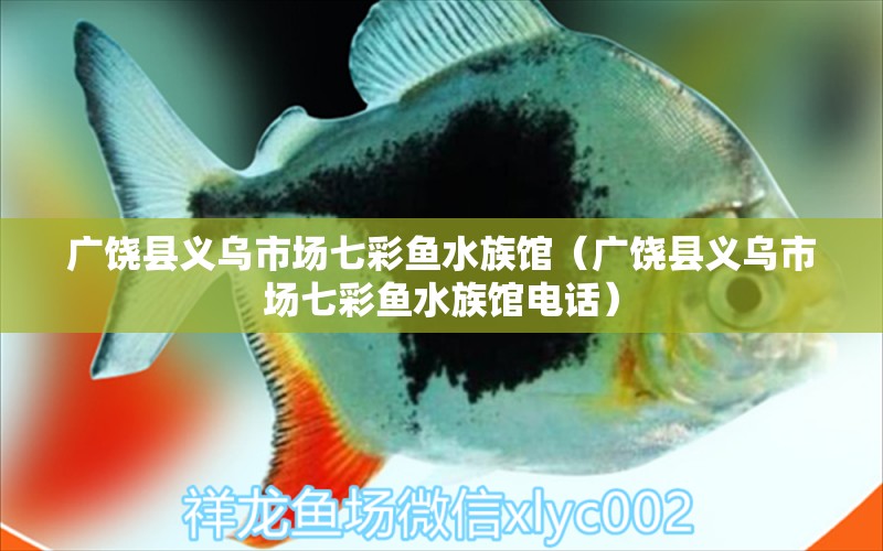 广饶县义乌市场七彩鱼水族馆（广饶县义乌市场七彩鱼水族馆电话）