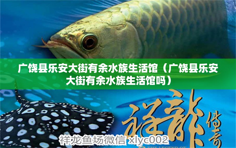 广饶县乐安大街有余水族生活馆（广饶县乐安大街有余水族生活馆吗） 全国水族馆企业名录