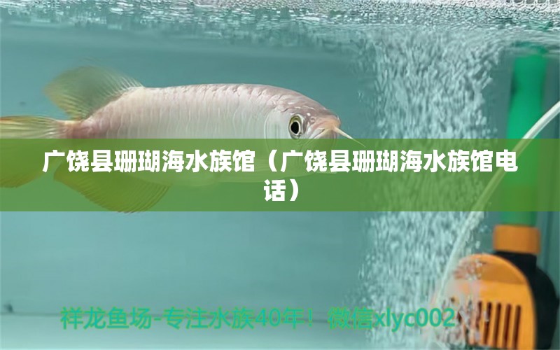 广饶县珊瑚海水族馆（广饶县珊瑚海水族馆电话）