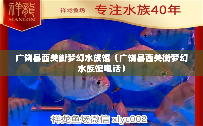 广饶县西关街梦幻水族馆（广饶县西关街梦幻水族馆电话） 全国水族馆企业名录