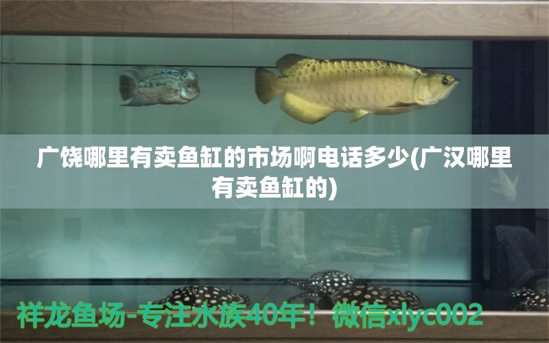 广饶哪里有卖鱼缸的市场啊电话多少(广汉哪里有卖鱼缸的) 申古三间鱼