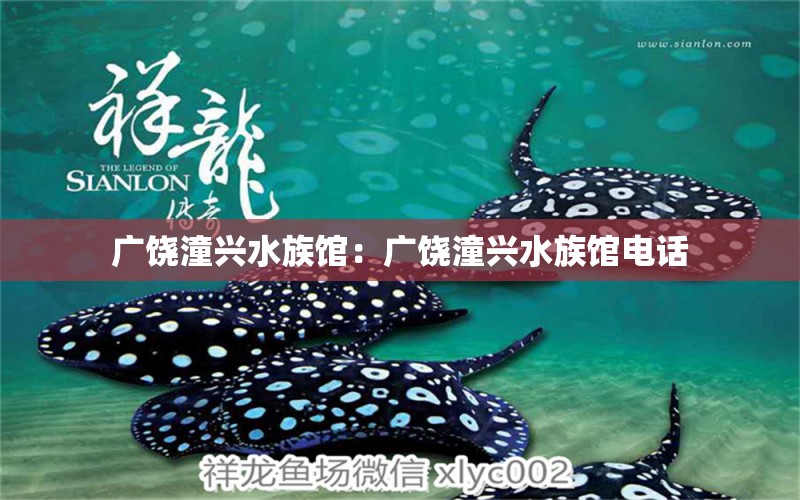 广饶潼兴水族馆：广饶潼兴水族馆电话