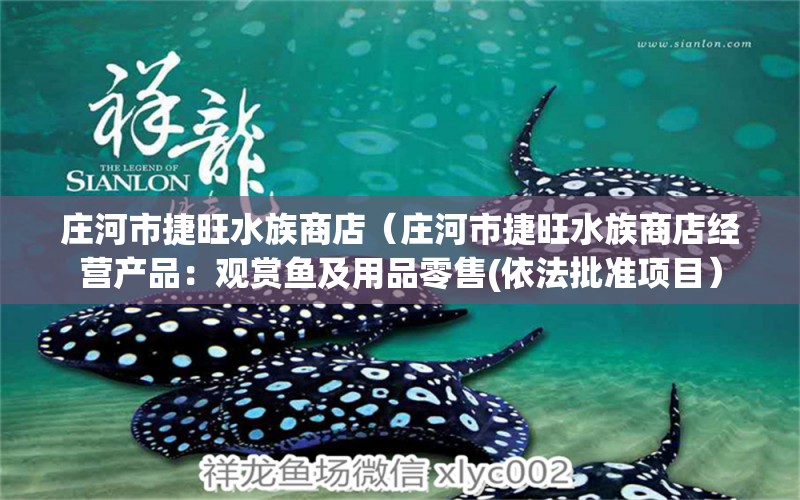 庄河市捷旺水族商店（庄河市捷旺水族商店经营产品：观赏鱼及用品零售(依法批准项目） 全国观赏鱼市场 第2张