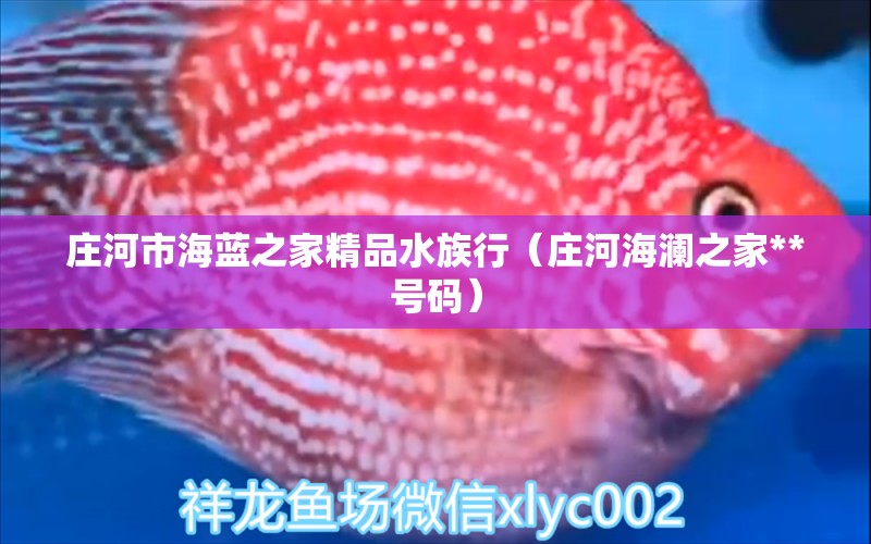 庄河市海蓝之家精品水族行（庄河海澜之家**号码）