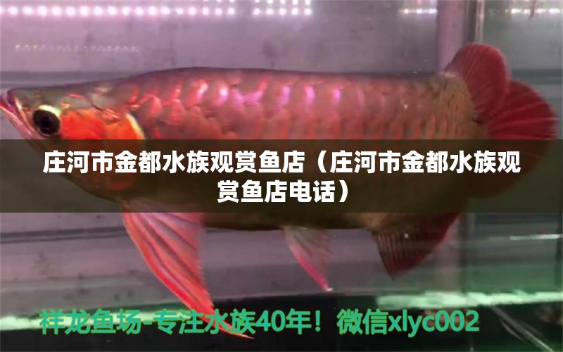 庄河市金都水族观赏鱼店（庄河市金都水族观赏鱼店电话） 全国水族馆企业名录