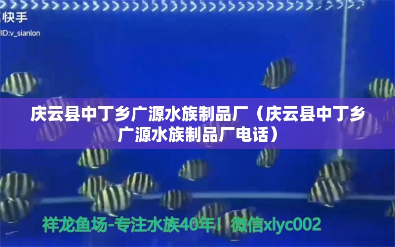 庆云县中丁乡广源水族制品厂（庆云县中丁乡广源水族制品厂电话） 全国水族馆企业名录