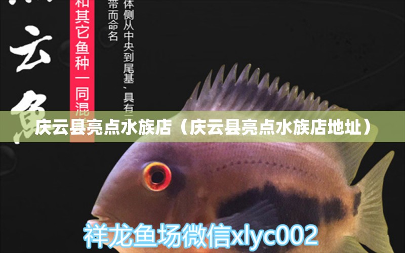 庆云县亮点水族店（庆云县亮点水族店地址） 全国水族馆企业名录