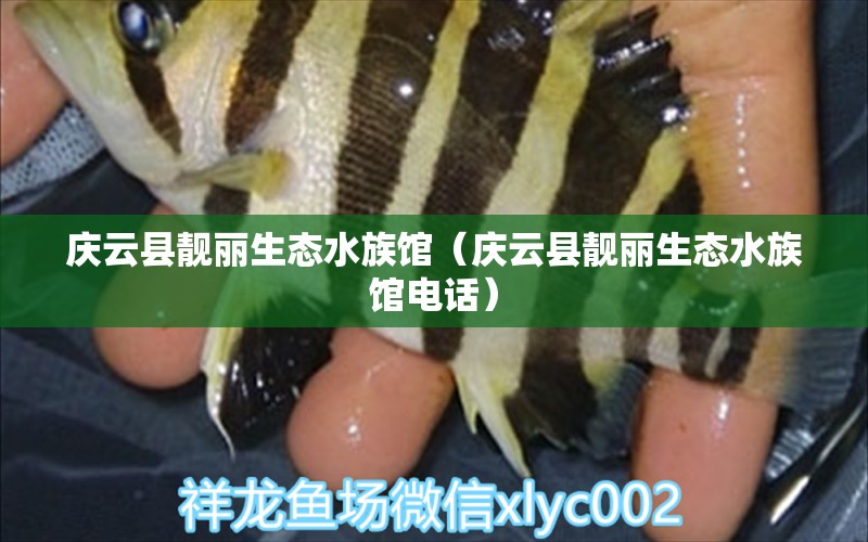 庆云县靓丽生态水族馆（庆云县靓丽生态水族馆电话） 全国水族馆企业名录