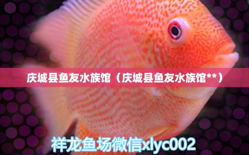 庆城县鱼友水族馆（庆城县鱼友水族馆**）