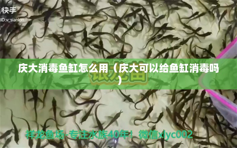 庆大消毒鱼缸怎么用（庆大可以给鱼缸消毒吗） 祥龙水族医院