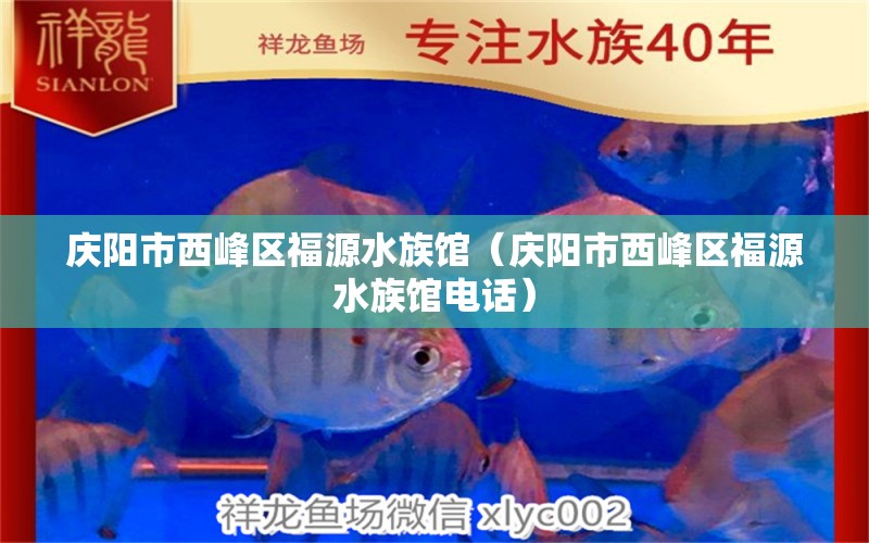 庆阳市西峰区福源水族馆（庆阳市西峰区福源水族馆电话）