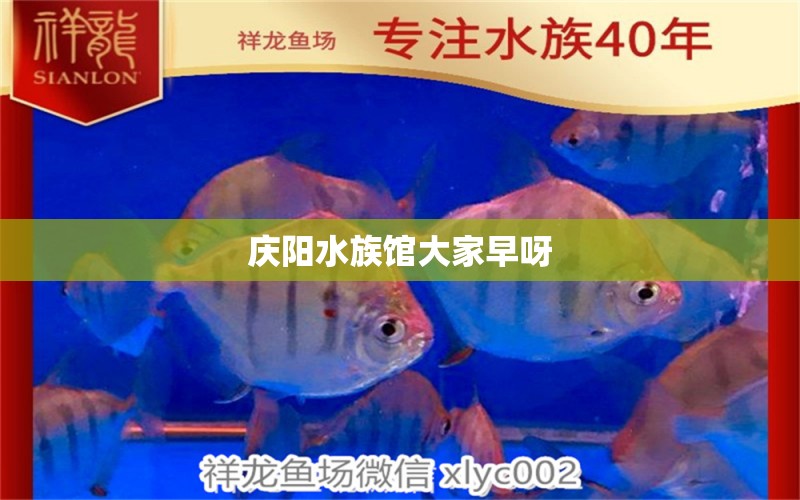 庆阳水族馆大家早呀