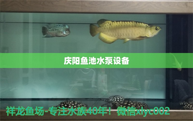 庆阳鱼池水泵设备 广州水族器材滤材批发市场