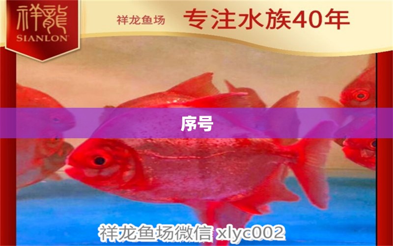 序号 广州水族器材滤材批发市场