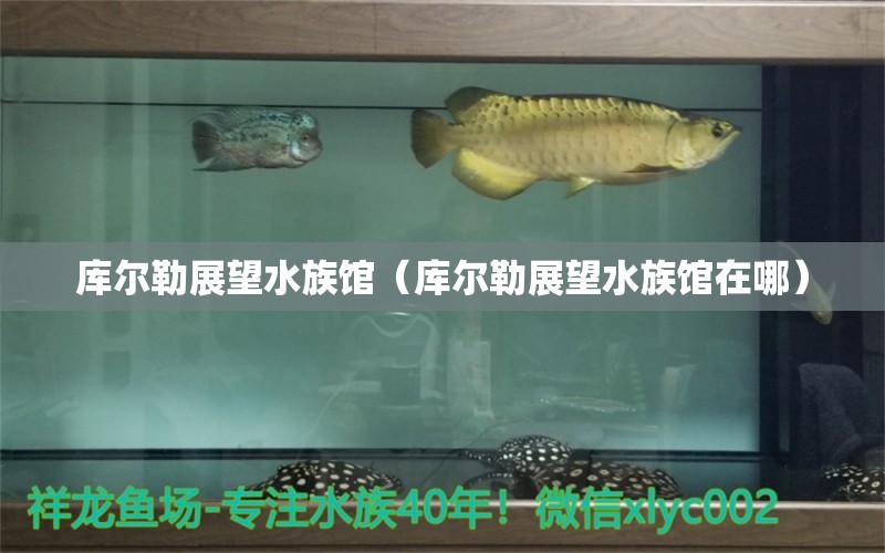 库尔勒展望水族馆（库尔勒展望水族馆在哪） 全国水族馆企业名录