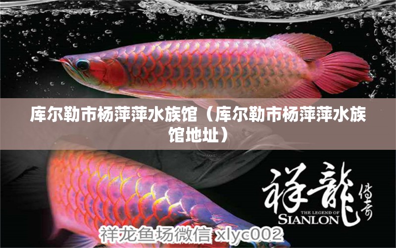 库尔勒市杨萍萍水族馆（库尔勒市杨萍萍水族馆地址） 全国水族馆企业名录