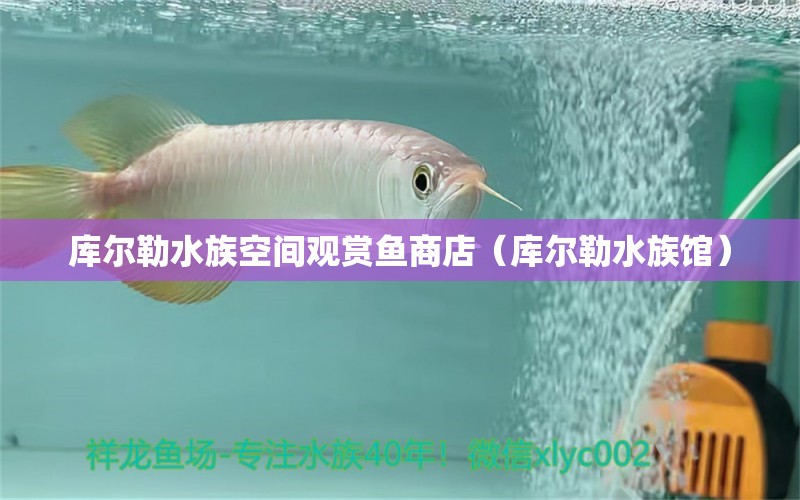 库尔勒水族空间观赏鱼商店（库尔勒水族馆） 全国水族馆企业名录