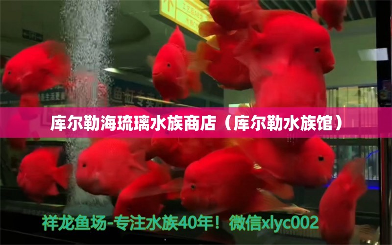 库尔勒海琉璃水族商店（库尔勒水族馆）