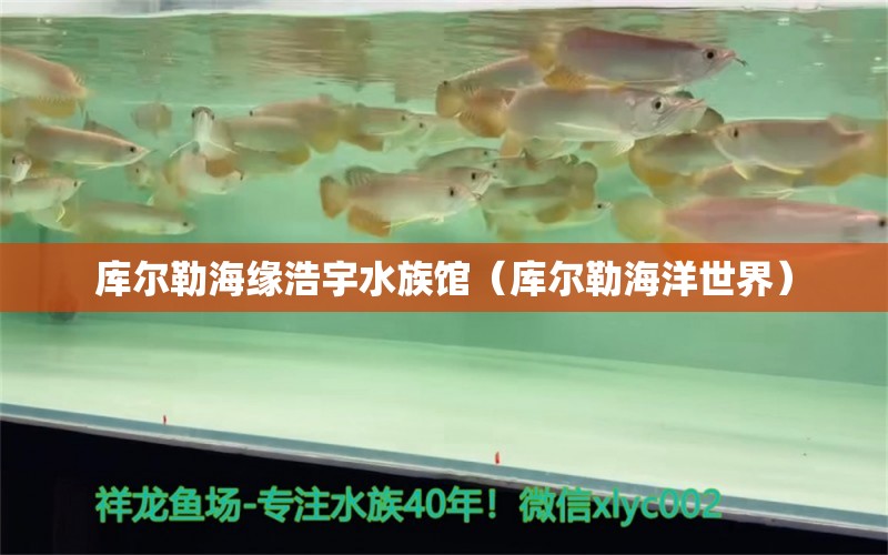 库尔勒海缘浩宇水族馆（库尔勒海洋世界）