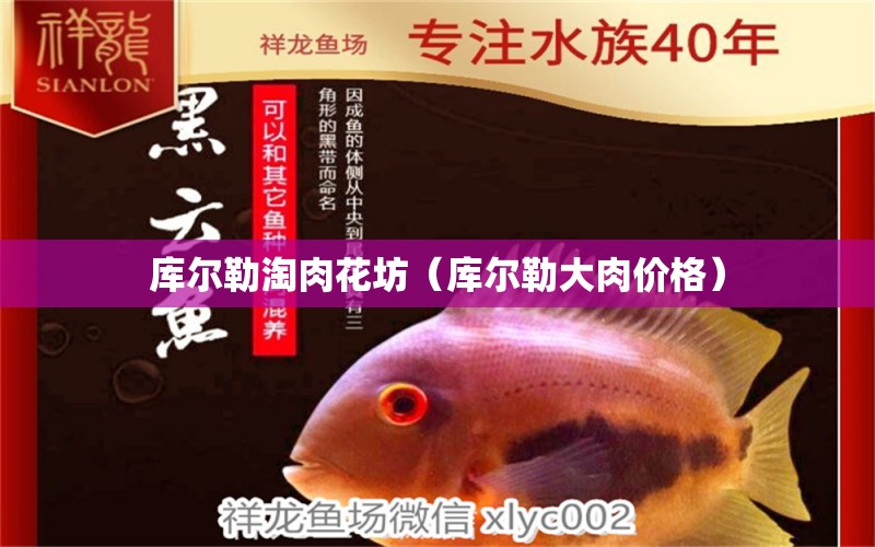 库尔勒淘肉花坊（库尔勒大肉价格） 全国水族馆企业名录