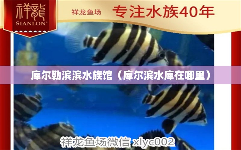 库尔勒滨滨水族馆（库尔滨水库在哪里） 全国水族馆企业名录