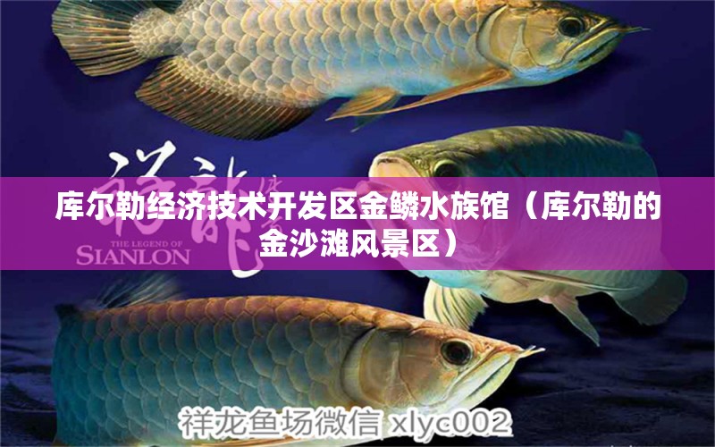 库尔勒经济技术开发区金鳞水族馆（库尔勒的金沙滩风景区）