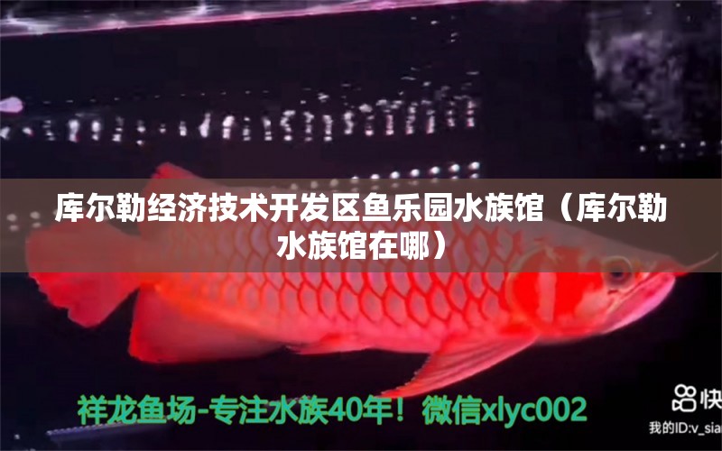 库尔勒经济技术开发区鱼乐园水族馆（库尔勒水族馆在哪）