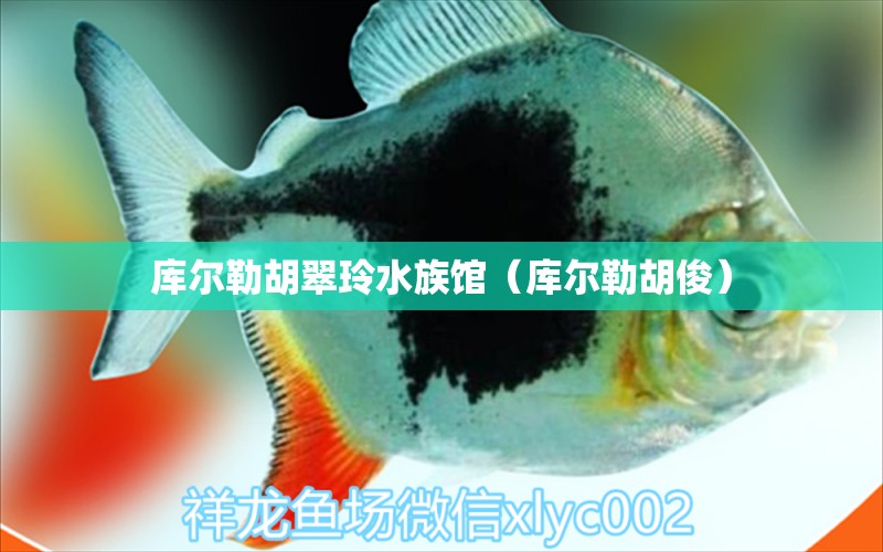 库尔勒胡翠玲水族馆（库尔勒胡俊） 全国水族馆企业名录