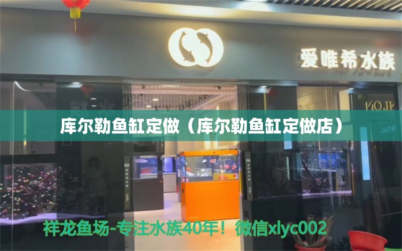 库尔勒鱼缸定做（库尔勒鱼缸定做店） 观赏鱼市场（混养鱼）