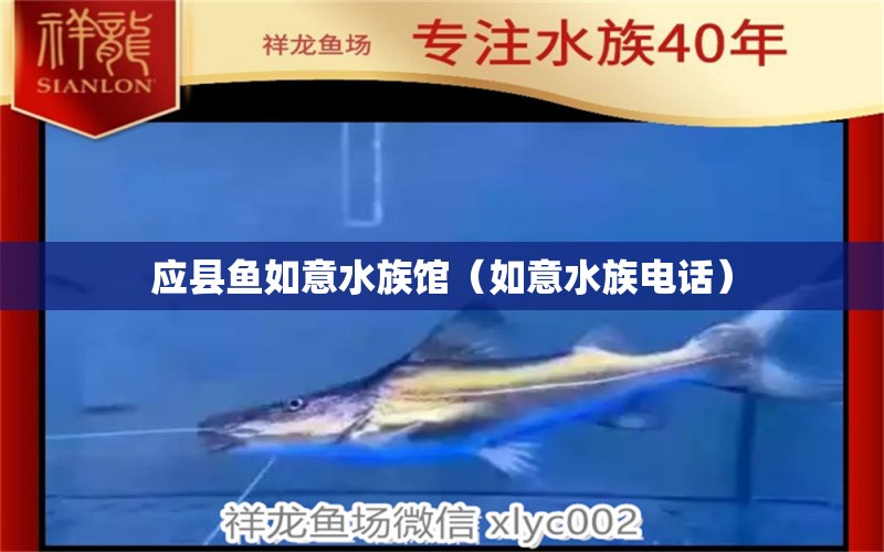 应县鱼如意水族馆（如意水族电话）