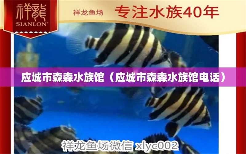 应城市森森水族馆（应城市森森水族馆电话）