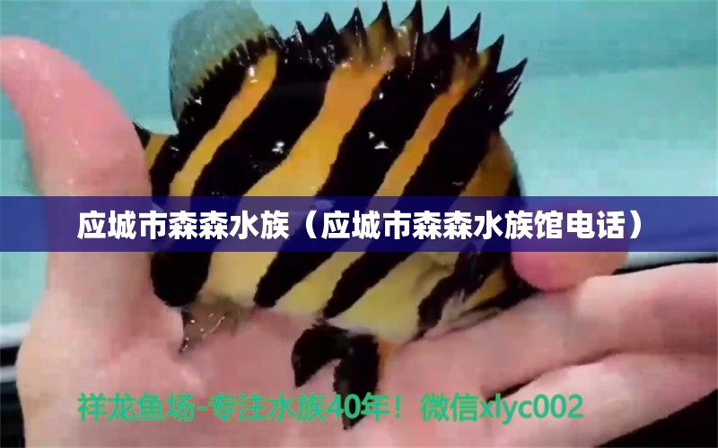 应城市森森水族（应城市森森水族馆电话） 全国水族馆企业名录