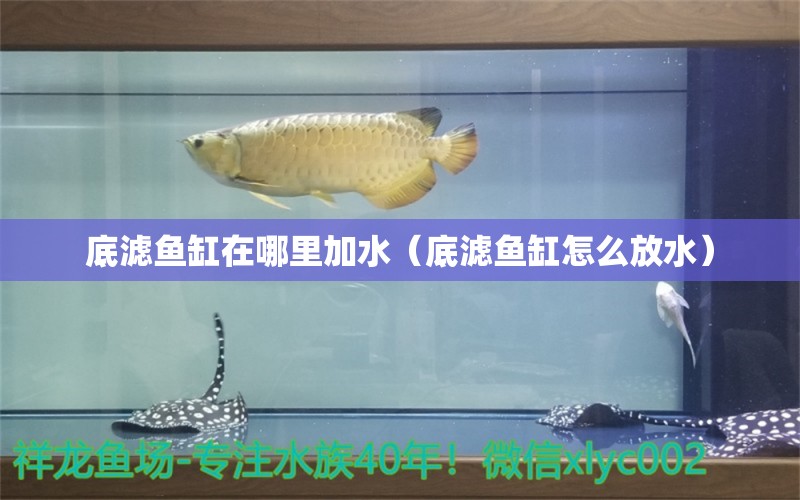 底滤鱼缸在哪里加水（底滤鱼缸怎么放水）