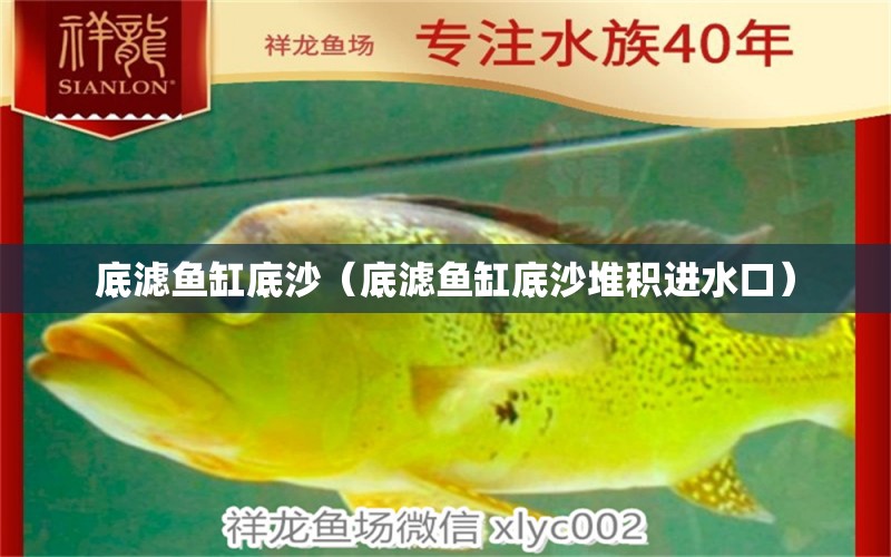 底滤鱼缸底沙（底滤鱼缸底沙堆积进水口） 广州祥龙国际水族贸易