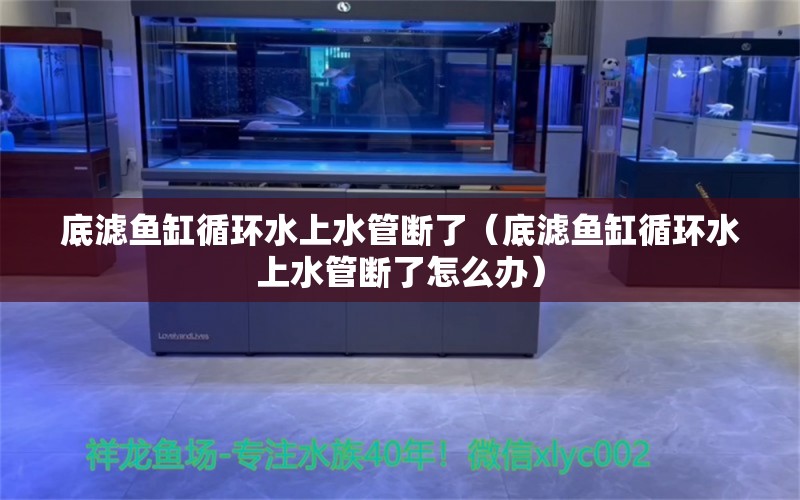 底滤鱼缸循环水上水管断了（底滤鱼缸循环水上水管断了怎么办）