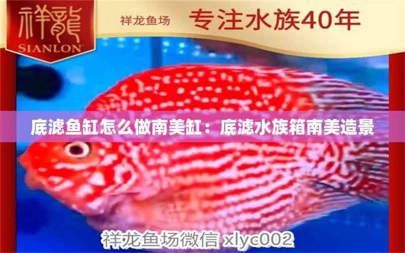 底滤鱼缸怎么做南美缸：底滤水族箱南美造景